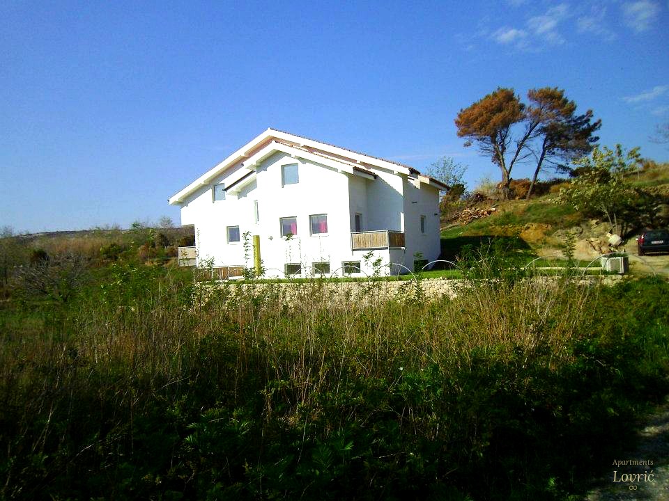 Haus